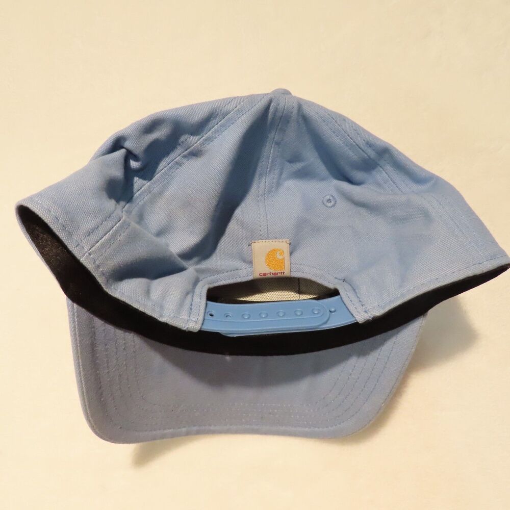 Carhartt Snapback Hat Light Blue Fit For The Next Frontier Mountain Patch Cap